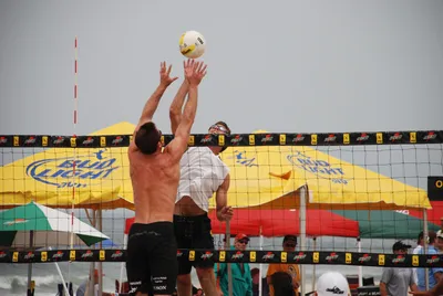 DSC_0040 (Large).JPG